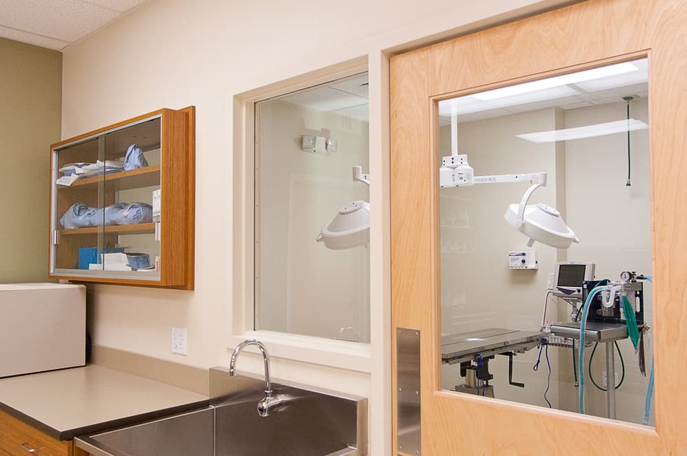Surgical prep area with view into the surgery room